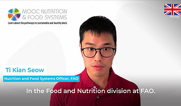 The theory of change in programming for sustainable healthy diets - Understanding the system thinking and the sustainable food systems approach for healthy diets