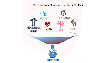 How did we get there ? / The food system