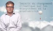 Impacts du changement climatique sur les écosystèmes et la biodiversité