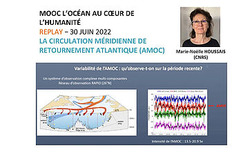 La Circulation Méridienne de Retournement Atlantique (AMOC)