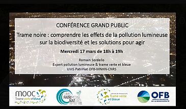 Webinaire Trame noire : comprendre les effets de la pollution lumineuse sur la biodiversité et les solutions pour agir