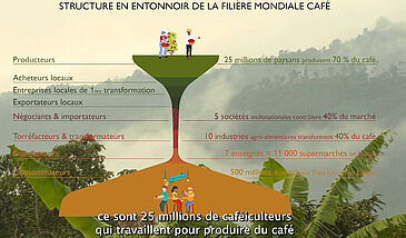 Le café, un marché mondialisé