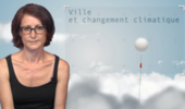 Ville et changement climatique