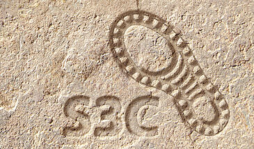 Socle S3C - Socle commun de connaissances et de compétences transversales sur l'anthropocène