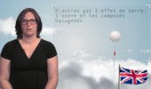 Other greenhouse gases: the ozone and halogenated compounds