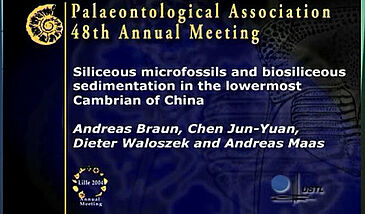 Siliceous microfossils and biosiliceous sedimentation in the lowermost Cambrian of China