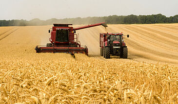 Le paradigme de l'agriculture industrielle