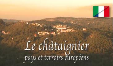 Le châtaignier, pays et terroirs européens - Italie : la châtaigne, une image du passé, un produit du futur