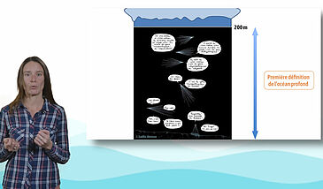 Quelle vie dans les grands fonds marins ?