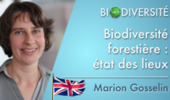 The forest biodiversity: an assessment