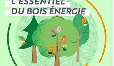 L'essentiel du bois énergie