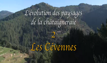 L'évolution des paysages de la châtaigneraie 2. Les Cévennes