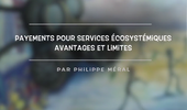 Paiements pour services écosystémiques : avantages et limites