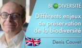 Different issues of protecting biodiversity