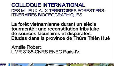 La forêt vietnamienne durant un siècle tourmenté : une reconstitution tributaire de sources lacunaires et disparates. La biogéographie historique des forêts