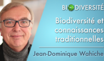 Biodiversité et connaissances traditionnelles