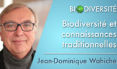 Biodiversité et connaissances traditionnelles