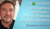 Les végétaux aquatiques : de la biodiversité à la bioindication
