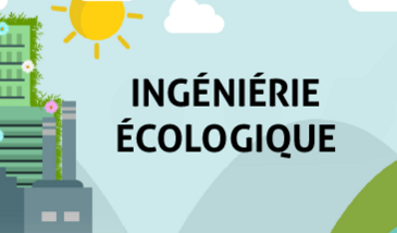 Ingénierie écologique