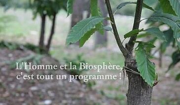 L'Homme et la biosphère, c'est tout un programme ! (Série MAB - 17 vidéos)