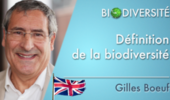 Definition of biodiversity
