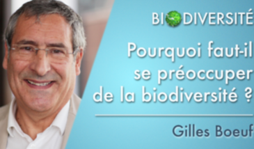 Pourquoi faut-il se préoccuper de la biodiversité ?