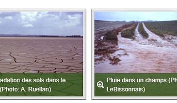 La dégradation des sols dans le Monde