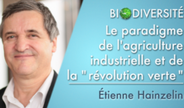 Le paradigme de l'agriculture industrielle et la "révolution verte"