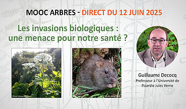 Les invasions biologiques : une menace pour notre santé ?