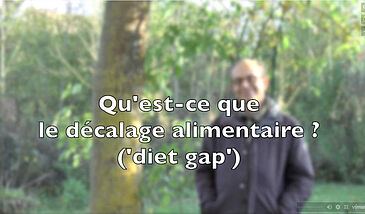 Qu’est-ce que le décalage alimentaire ? (« diet gap ») Quelles pistes pour le réduire ?