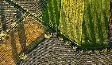 Gestion des ressources (écosystèmes anthropisés)