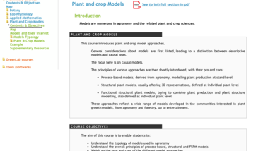 Plant and crop models