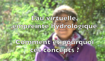 Eau virtuelle, empreinte hydrologique : Comment et pourquoi ces concepts ?