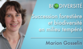 Succession forestière et biodiversité en milieu tempéré