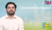 Ecological economics