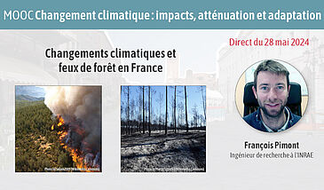 Changements climatiques et feux de forêt en France