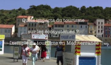 Série EcoMedit n°11 : Quels impacts du tourisme sur les écosystèmes ? Exemple du tourisme en Méditerranée