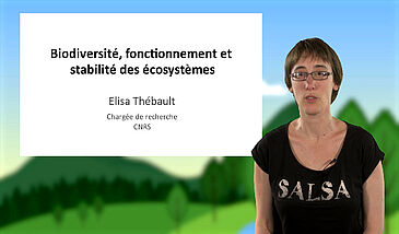 Biodiversité, fonctionnement et stabilité des écosystèmes