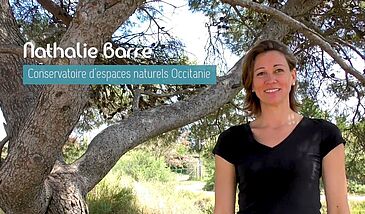 MOOC TVB Séquence 5 - Interview complète de Nathalie Barré Zoom sur la continuité écologique dans les complexes lagunaires