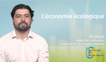 L'économie écologique