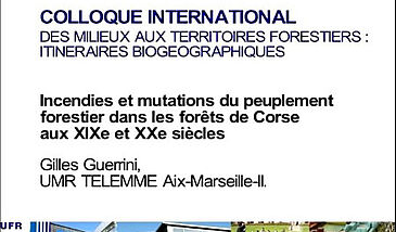 Incendies et mutations du peuplement forestier dans les forêts de Corse aux XIXe et XXe siècles - La biogéographie historique des forêts