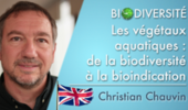 Aquatic plants: from biodiversity to bioindication