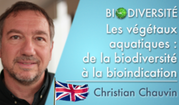 Aquatic plants: from biodiversity to bioindication