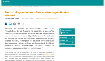 Ragondin des villes contre ragondin des champs