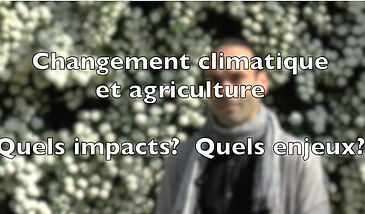 Changement climatique, agriculture et sécurité alimentaire – Quels impacts ? Quels enjeux ?