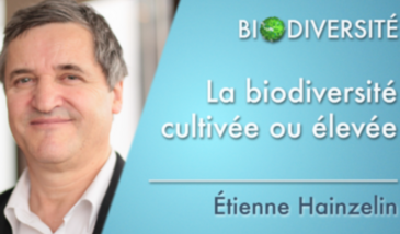 La biodiversité cultivée ou élevée