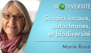 Savoirs locaux, autochtones, et biodiversité