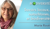 Savoirs locaux, autochtones, et biodiversité