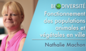 Fonctionnement des populations animales et végétales en ville