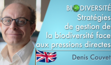 Biodiversity management strategies facing direct pressures